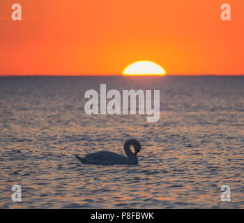 Ostsee Sonne eingestellt. Litauen, Palanga Stockfoto