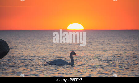 Ostsee Sonne eingestellt. Litauen, Palanga Stockfoto