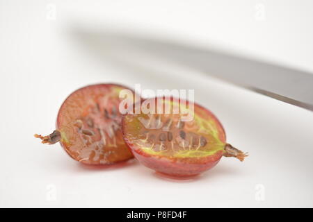 Rote stachelbeere Hinnonmäki, köstliche innen mit einem spritzigen Außenhaut Stockfoto