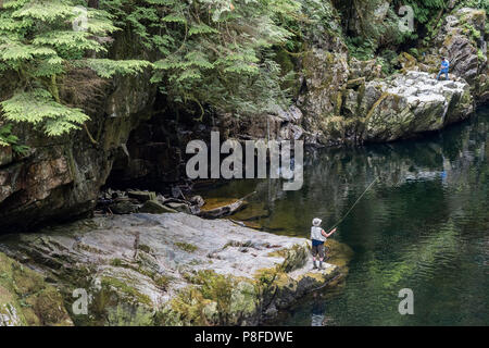 Fischer, Capilano River Regional Park, N. Vancouver, British Columbia, Kanada. Stockfoto