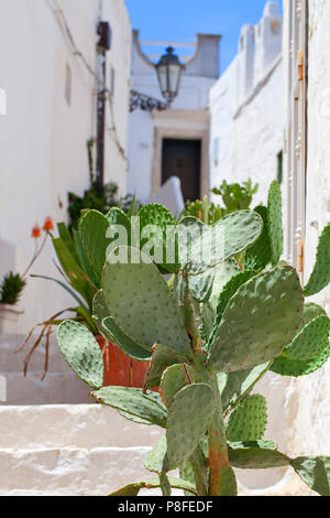 Ostuni Italien 2018 Stockfoto