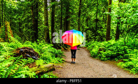 Frau mit einem Regenbogen Regenschirm wandern in Bridal Veil Falls Provincial Park zwischen den Städten von Chilliwack und Hoffnung in British Columbia, Kanada Stockfoto