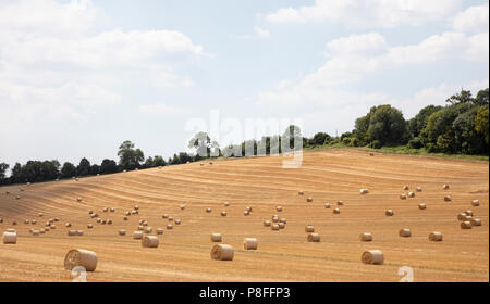 Rundballen Heu nach der Ernte auf der South Downs in West Sussex Stockfoto