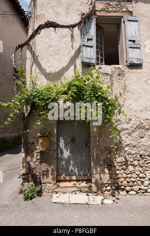 Altes Haus mit Reben bedeckt in der mittelalterlichen Stadt von Riez in der französischen Provence auf sonnigen Sommertag Stockfoto