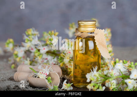 Glas Flasche Rosskastanie Öl extrahieren. Nahaufnahme Stockfoto