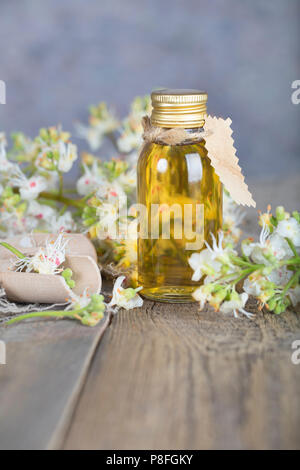 Glas Flasche Rosskastanie Öl extrahieren. Nahaufnahme Stockfoto