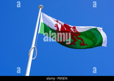 Flagge von Wales über Beaumaris Castle, Beaumaris, Anglesey Stockfoto