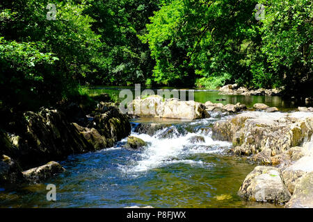 Afon Llugwy River bei Pont-Y-Paar Brücke über, Betws-y-Coed, North Wales UK Stockfoto