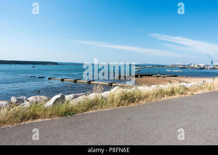 Blick auf den Hafen von Poole Poole, Dorset, Großbritannien Stockfoto