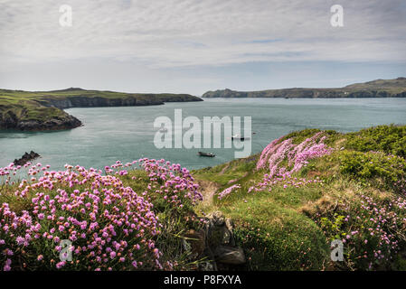 St. Justinian's, Porthstinian Bucht und Ramsey Island. Stockfoto