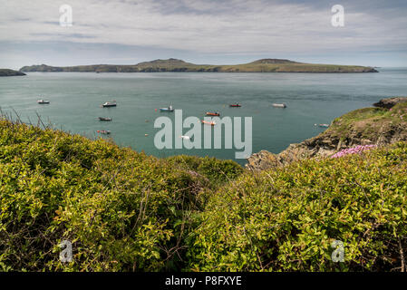 St. Justinians, Porthstinian Bucht und Ramsey Island Stockfoto