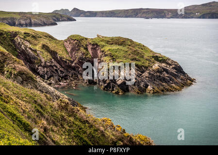 St. Justinian's, Porthstinian Bucht und Ramsey Island. Stockfoto