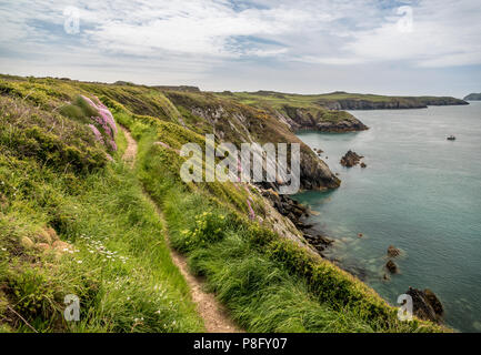 Coast Path, St. Justinian's, Porthstinian Bay Stockfoto