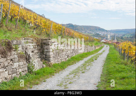 Weinberg, Kochertal, Ingelfingen, Hohenlohe, Baden-Württemberg, Heilbronn-franken, Deutschland Stockfoto