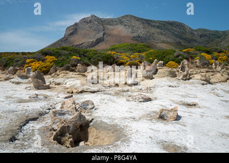 Der versteinerte Wald in der Nähe von Agia Maria, Lakonien, Peloponnes, Griechenland Stockfoto