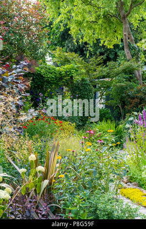 Staudenbeet mit gemischter Pflanzung von Stauden. Cottage Garden Grenze Stockfoto