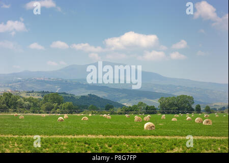 Landwirtschaftliche Landschaft von Heuballen auf einem Feld Stockfoto