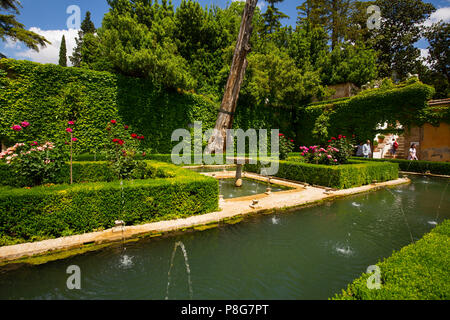 Generalife Gärten des Palastes. Alhambra, UNESCO-Weltkulturerbe. Stadt Granada. Andalusien, Süd Spanien Europa Stockfoto