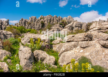 Torcal de Antequera, Erosion arbeiten an Jurassic Kalksteine, Provinz Málaga. Andalusien, Süd Spanien Europa Stockfoto