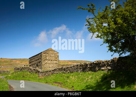 Das VEREINIGTE KÖNIGREICH, England, Yorkshire, Swaledale, Thwaite, traditionell erbaute Kuh Haus Stein Feld Scheune Stockfoto