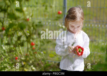 Adorable kleine Mädchen Paprika Kommissionierung in einem Garten Stockfoto