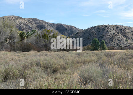 Flatland Wechsel zu Berge Landschaft Stockfoto