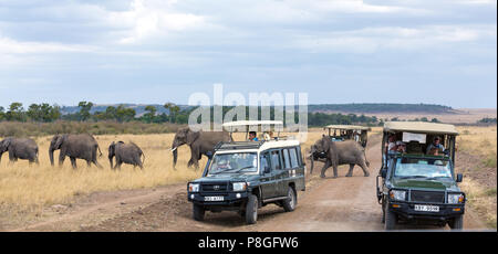 Die Masai Mara, Kenia - 3. August 2017: Touristen in Safari Fahrzeuge, Stop auf einem Feldweg in der Masai Mara zu einer Herde von Elefanten vorbei schauen. Stockfoto