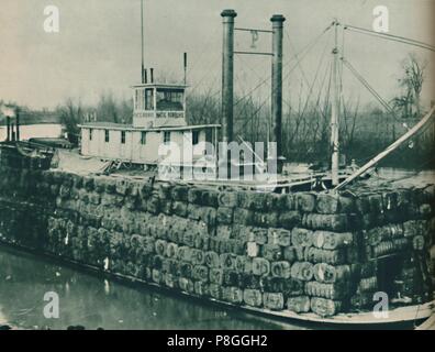 "Eine volle Ladung Baumwolle mounts oft über die Decks des Mississippi steamboats', 1937 hoch. Artist: Unbekannt. Stockfoto