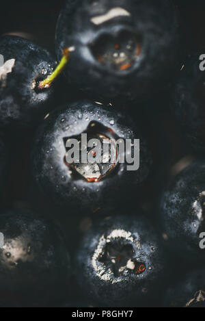 Frische Heidelbeeren Textur, Tapeten und Hintergrund. Flachbild-lay von nassen dunklen Wald Blaubeeren, Ansicht von oben, Nahaufnahme, vertikale Komposition. Sommer essen oder l Stockfoto