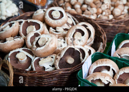 Pilze im Weidenkorb auf Marktstand Stockfoto