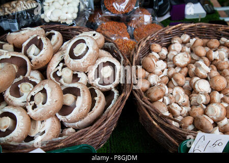 Pilze im Weidenkorb auf Marktstand Stockfoto