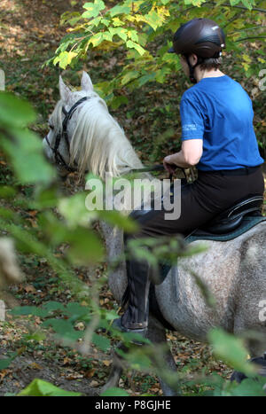 Zernikov, Frau reitet auf Ihrem Pferd im Schritt durch den Wald Stockfoto