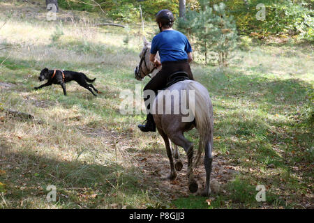 Zernikow, Frau trifft ein frei laufender Hund während der Fahrt in den Wald Stockfoto
