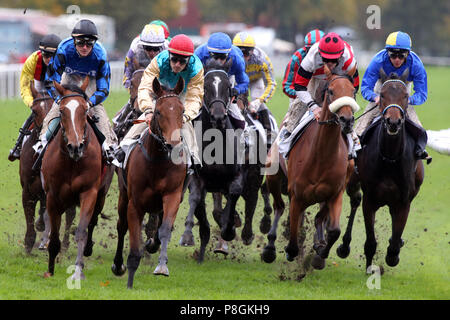 Hannover, Deutschland, Pferde und Jockeys im Rennen Stockfoto