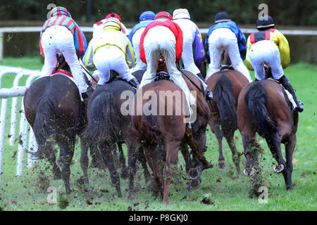 Hannover, Deutschland, Pferde und Jockeys im Rennen Stockfoto