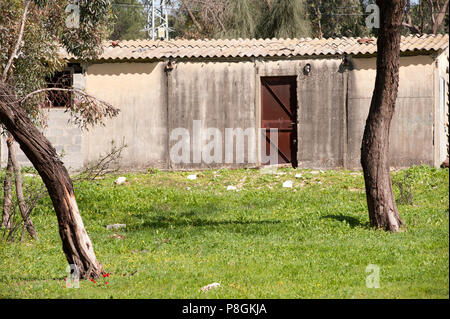 Vernachlässigung Schuppen im Garten Stockfoto