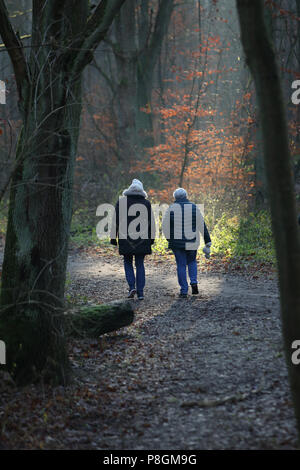 Berlin, Deutschland, Frauen machen einen Spaziergang im Grunewald Stockfoto