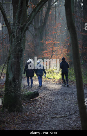 Berlin, Deutschland, Menschen machen einen Spaziergang im Grunewald Stockfoto