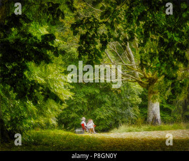 DIGITAL FINE ART: Picknick im Park (HDR-Bild) Stockfoto