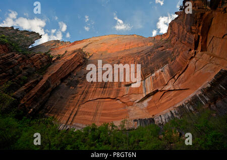 UT 00430-00... UTAH - hoch aufragenden Wände von Zion Canyon steigen über Upper Emerald Pool im Zion National Park. Stockfoto