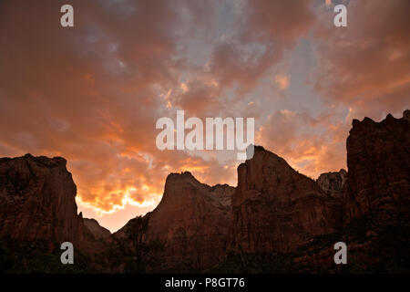 UT 00438-00... UTAH - Sonnenuntergang über den Hof des Patriarchen in der Zion Canyon, der Zion National Park. Stockfoto