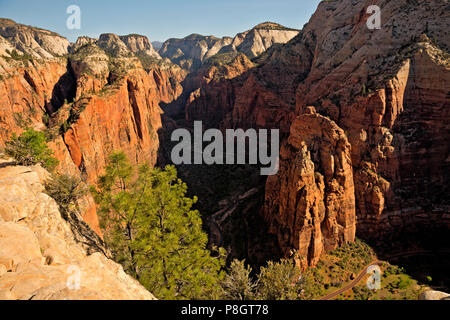 UT 00439-00... UTAH - am frühen Morgen Blick auf den Tempel des Sinawava und der oberen Zion Canyon Area vom Angels Landing im Zion National Park. Stockfoto