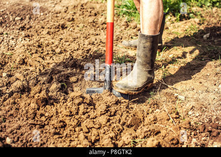 Detail auf alten Mannes Fuß in schmutzigen schwarzen Gummi Gummistiefel, spading Boden. Frühling im Garten arbeiten. Stockfoto