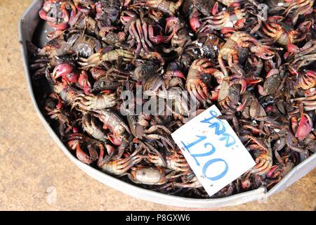 Thailand - Sea Food Markt in Maeklong Railway Market (Samut Songkhram Stadt). Stockfoto