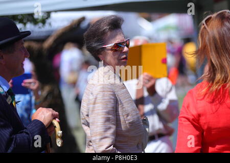 Harrogate, Großbritannien. 11. Juli 2018. Prinzessin Anne die Teilnahme an der 160 großen Yorkshire Show in Harrogate Credit: Yorkshire Pics/Alamy leben Nachrichten Stockfoto