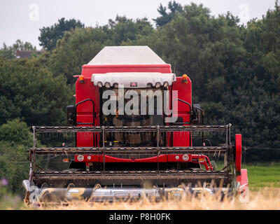 Great Bardfield, Braintree, Essex, UK. 11. Juli 2018. Neuen heißen trockenes Wetter hat die Gerste gereift, so dass Sie geerntet werden kann. Nachdem das Korn das Stroh geerntet wurde gesammelt in Ballen und die Ballen gebildet werden entfernt. 11. Juli 2018 Credit: William Edwards/Alamy Stockfoto