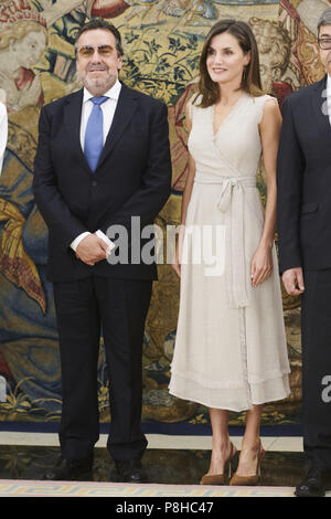 Madrid, Madrid, Spanien. 12. Juli 2018. Queen Letizia von Spanien besucht, um das Publikum auf der Allgemeine Rat der einmal an Zarzuela Palast am 12. Juli 2018 in Madrid, Spanien Credit: Jack Abuin/ZUMA Draht/Alamy leben Nachrichten Stockfoto