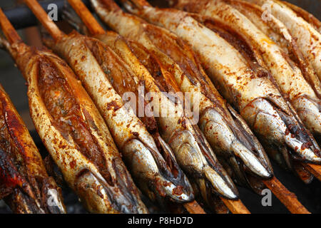 Nahaufnahme Kochen mehrere bonito Makrele fischen auf Holz Spieß Grill, hohe Betrachtungswinkel Stockfoto