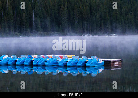 Paddelboote und Reflexionen in den frühen Morgen, auf Cameron Lake, mit Nebel auf dem Wasser. Waterton National Park, Alberta, Kanada. Stockfoto