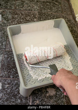 Farbe rollen Bürste und weiße Farbe in Kunststoff Fach, mit whitw Farbe. Renovierung Konzept. Stockfoto